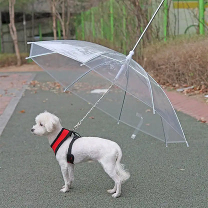 Pet Umbrella Leash - It's raining cats and dogs!