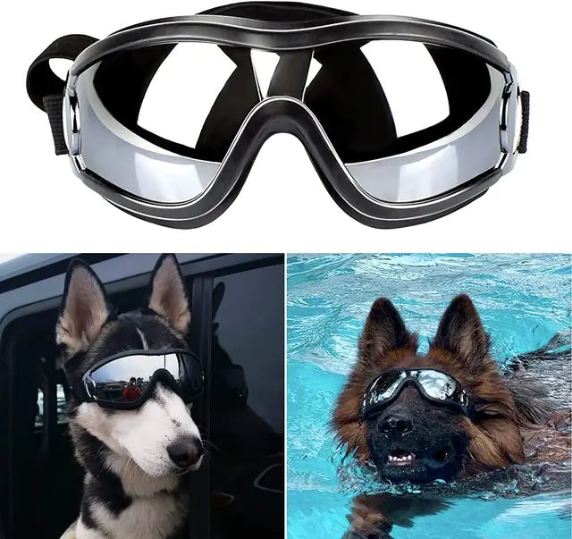 Adjustable Dog Goggles - for Pawsome adventures