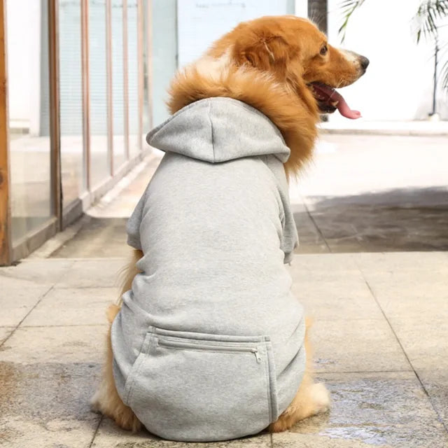 Warm Dog Hoodies - Born with swag