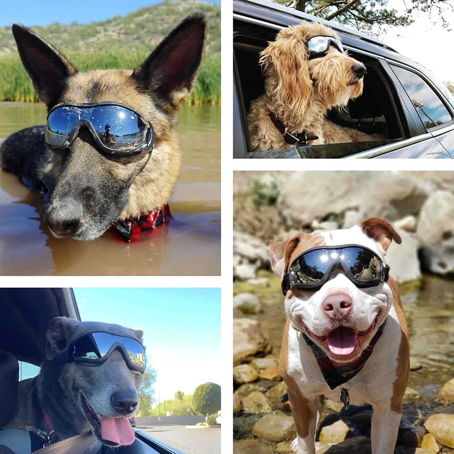 Adjustable Dog Goggles - for Pawsome adventures