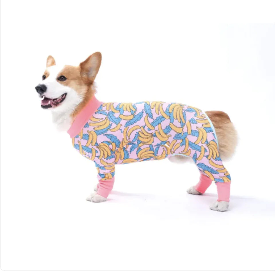 Dog pajamas for PJ's pawties