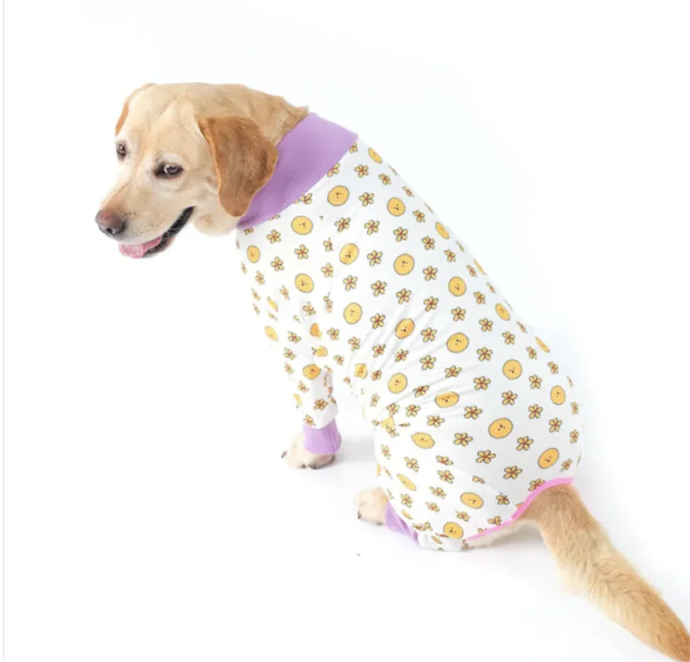 Dog pajamas for PJ's pawties