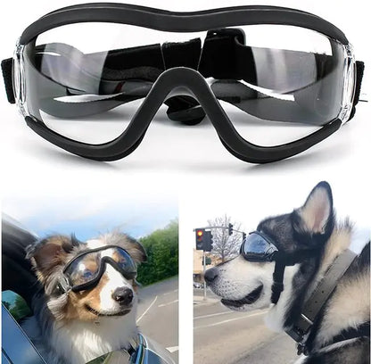 Adjustable Dog Goggles - for Pawsome adventures